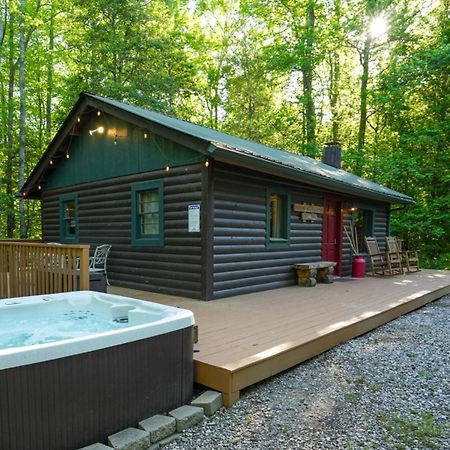 The Big Little Cabin - Hot Tub & Playground Villa Dahlonega Exterior photo