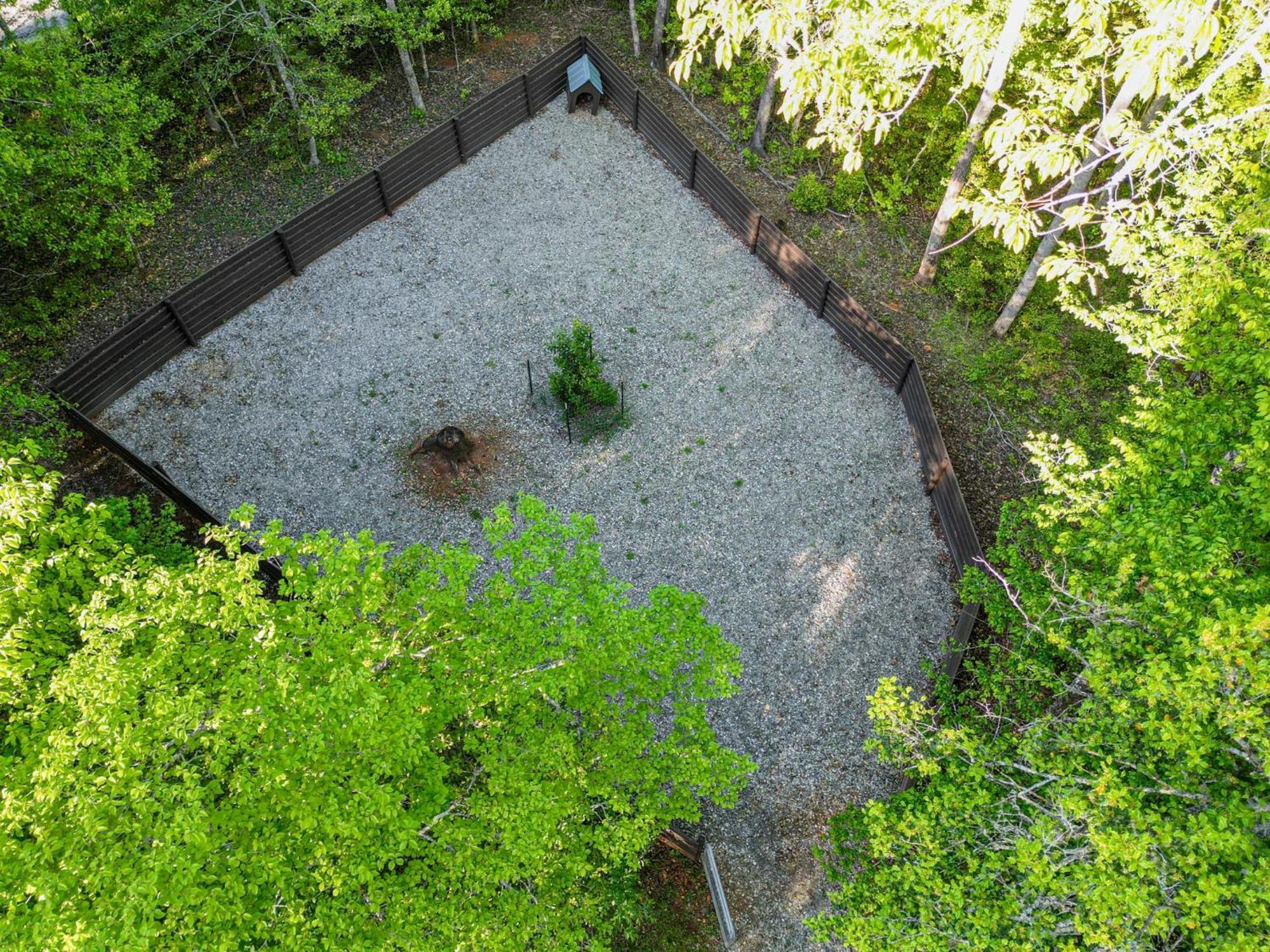 The Big Little Cabin - Hot Tub & Playground Dahlonega Exterior photo